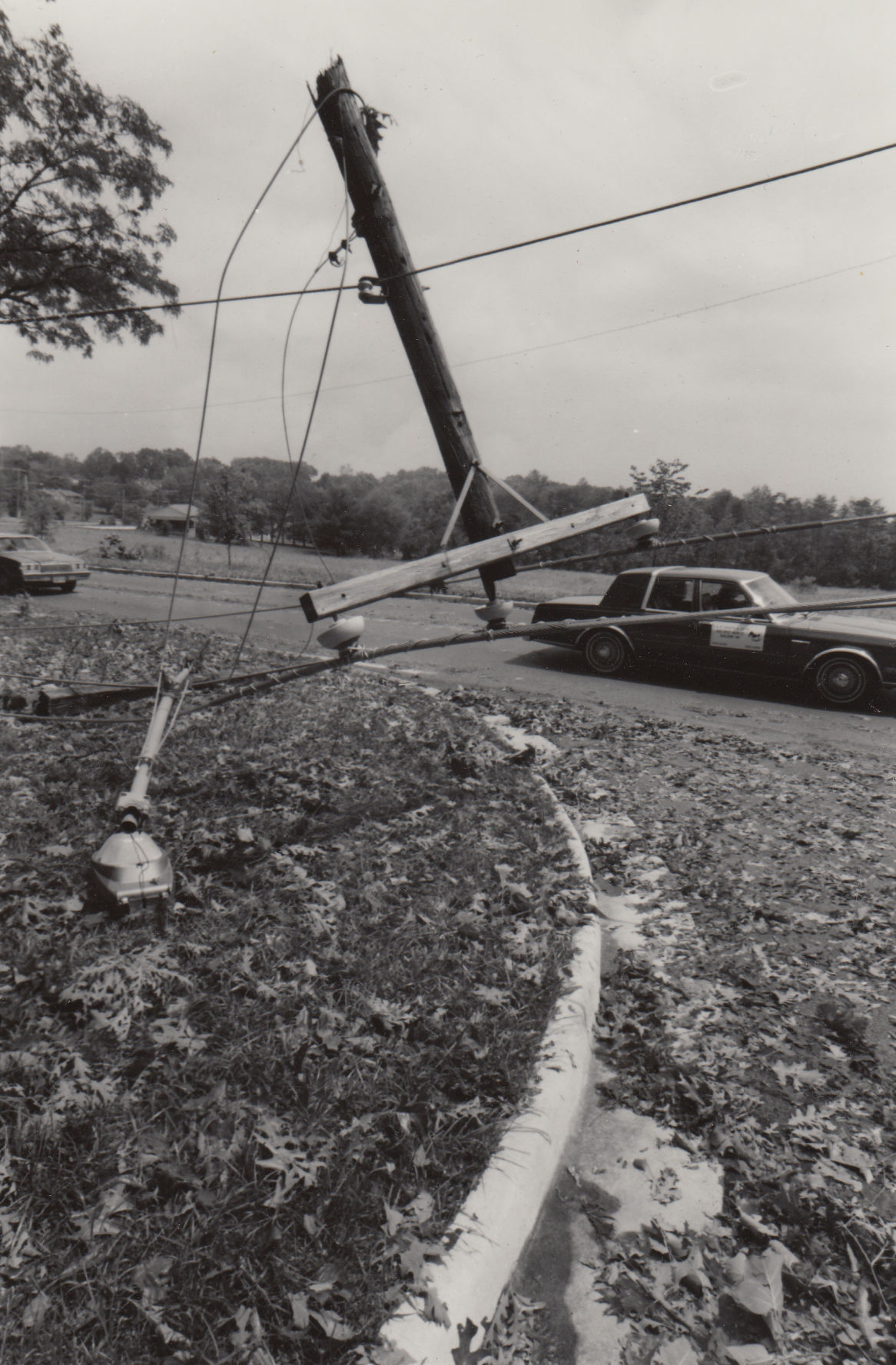 Windstorm of 1993
